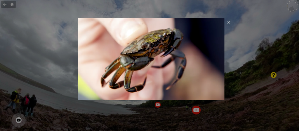 Featured picture of post "University uses virtual tours to prepare marine biology students for coastal field trip"