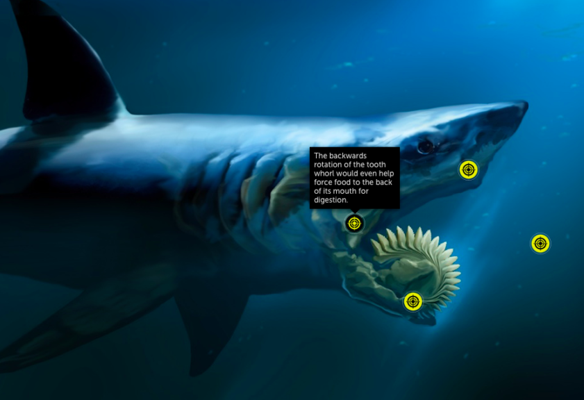 Featured picture of post "Image of the Week: Covering major news events with ThingLink"