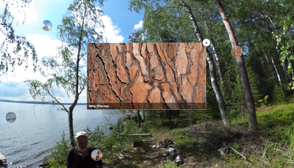 Featured picture of post "Interaktiiviset kuvat kieltenopetuksessa: kaksi esimerkkiä"